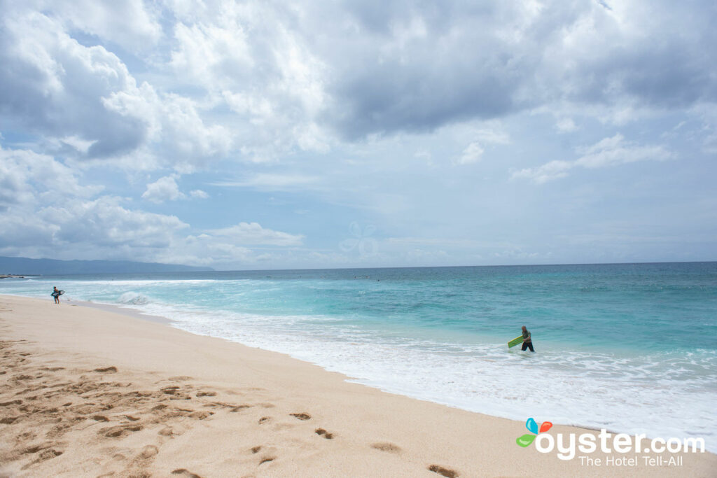 Banzai-Pipeline, Oahu / Oyster