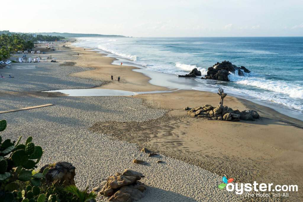 Le surf martelant d'Oaxaca / Huître