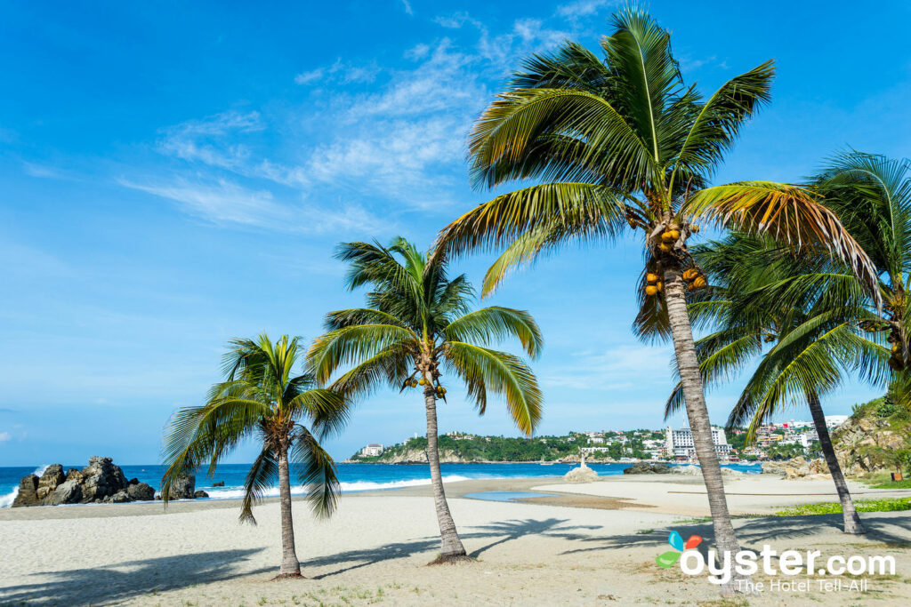 Strand in Puerto Escondido / Auster