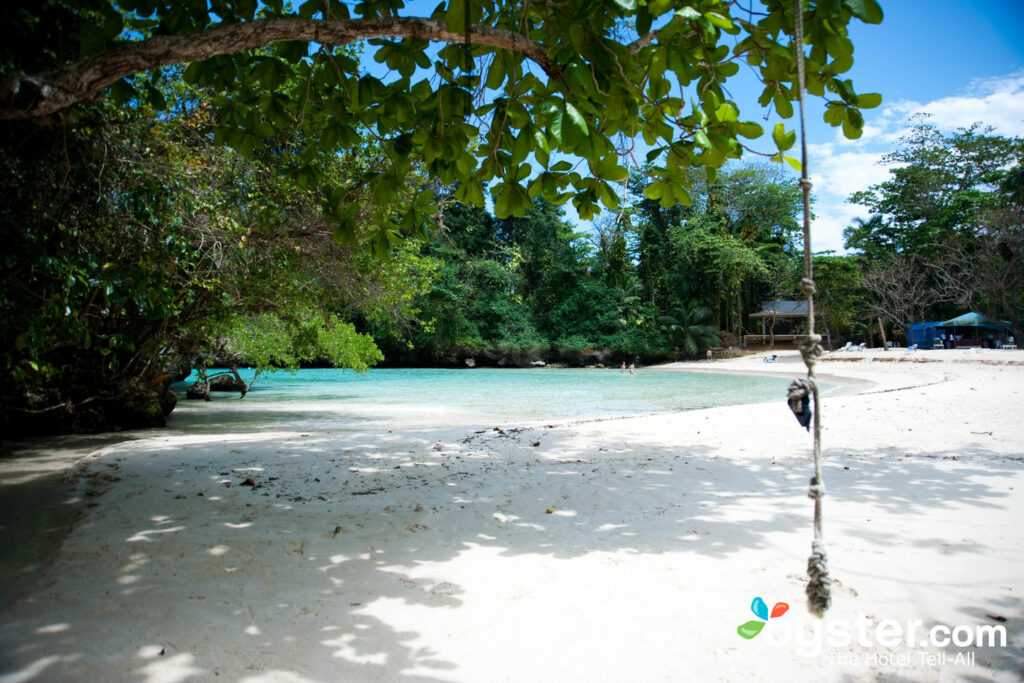 Frenchman's Cove, Port Antonio/Oyster