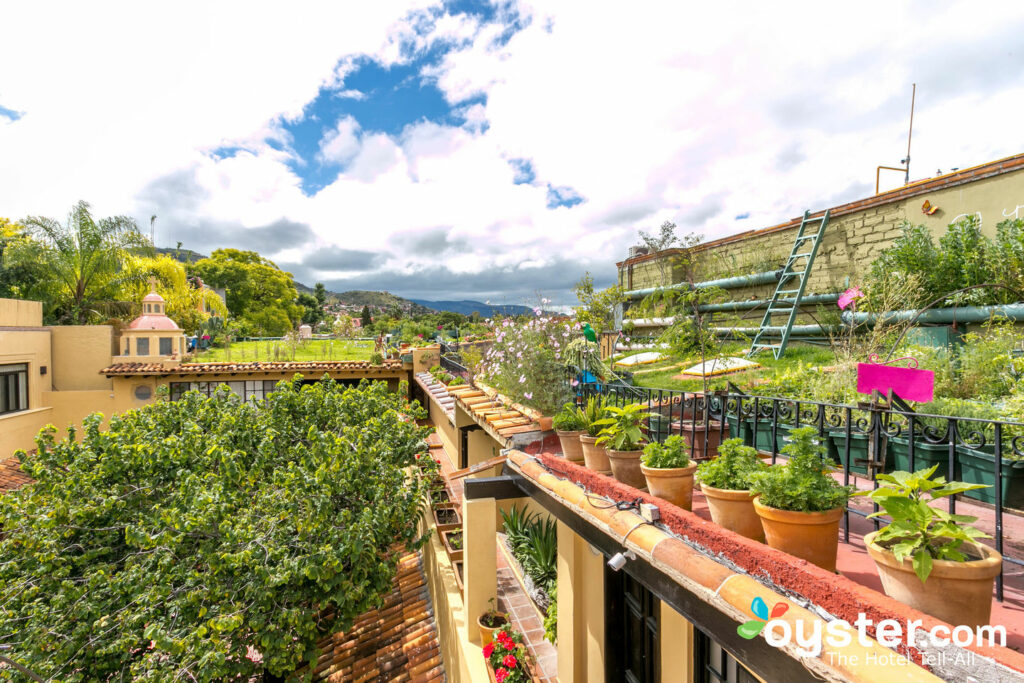 Sur le toit de l'Hacienda El Santuario, à San Miguel de Allende / Huître