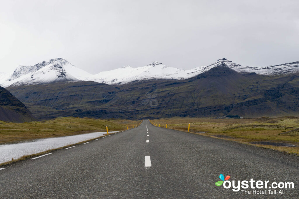 Islandia / Oyster