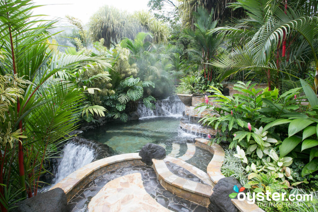 Hot Springs at Tabacon Grand Spa Thermal Resort/Oyster