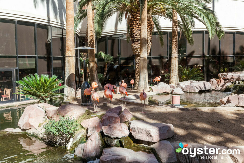 The Habitat at the Flamingo Las Vegas Hotel & Casino The Habitat at the Flamingo Las Vegas Hotel & Casino