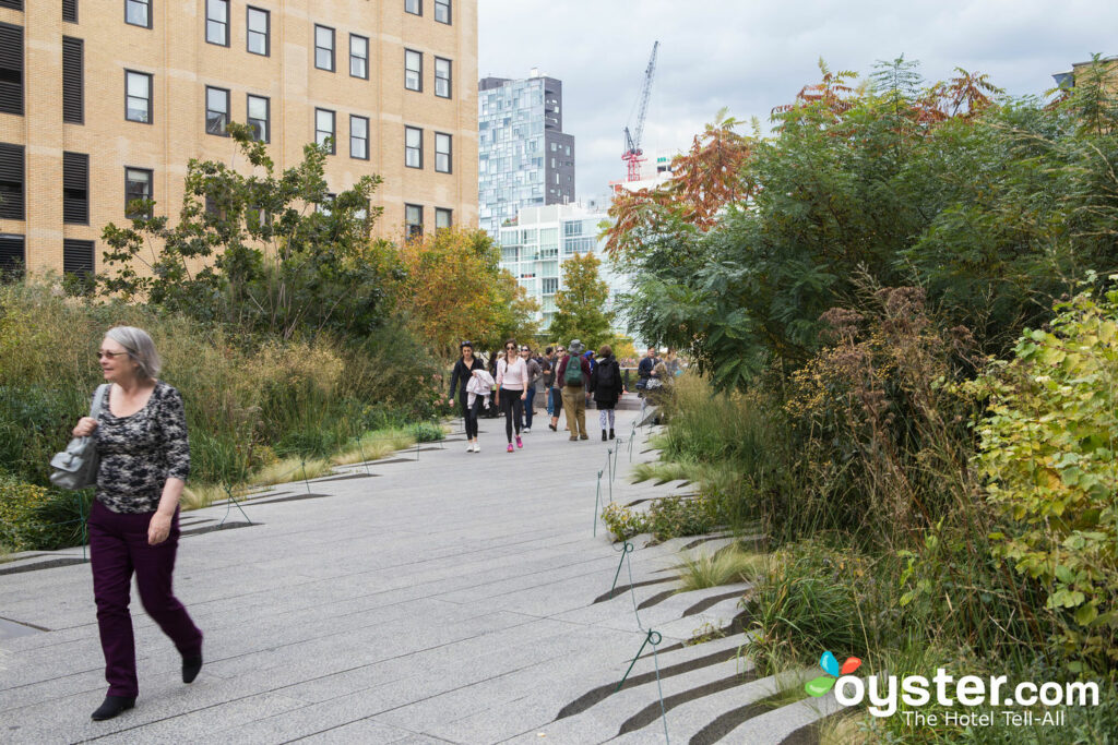 Die High Line / Oyster