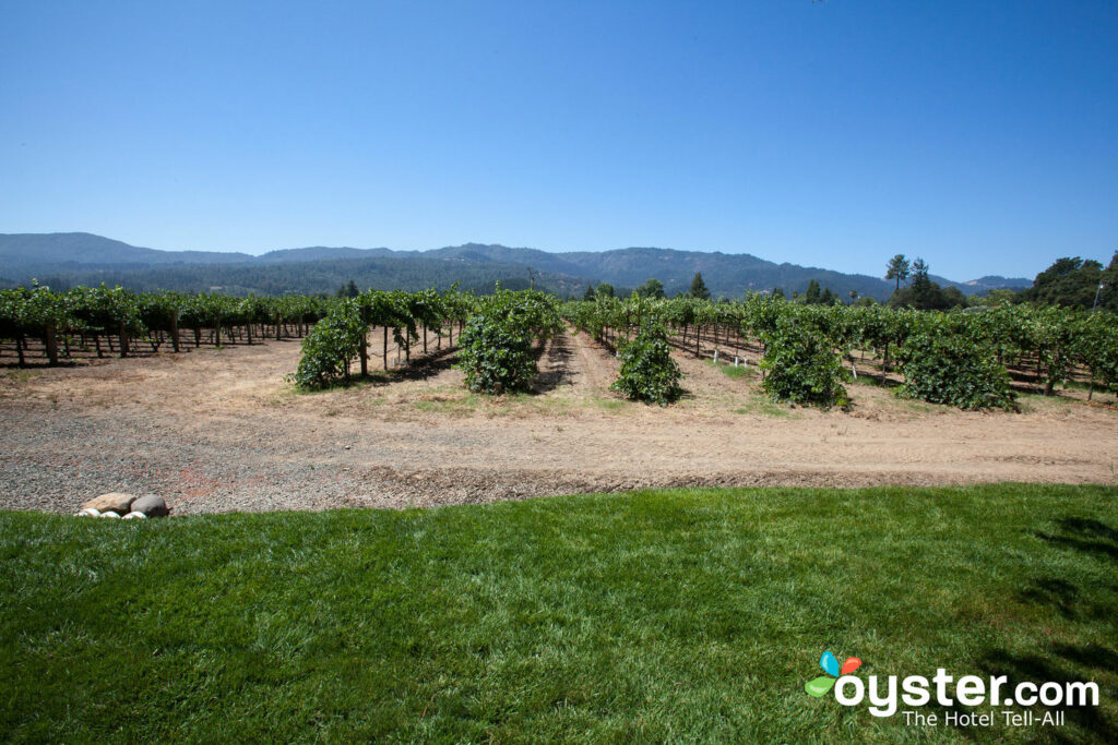 Viñedos en Napa Valley