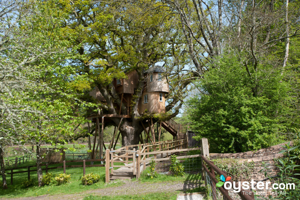 Treetops Tree House