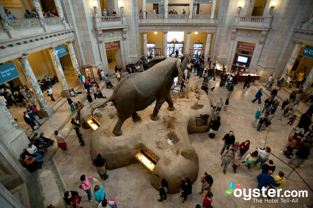 National Museum of Natural History, National Mall/Oyster