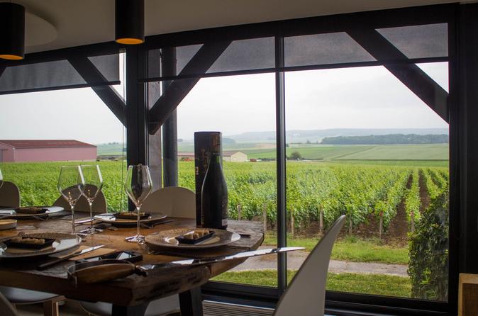 Dégustation de vins en petit groupe en Champagne / Viator