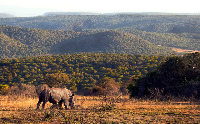 Eastern Cape, South Africa; Vin Crosbie/Flickr