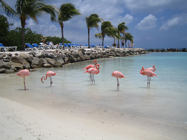 Flamingo Beach; Bevis Chin/Flickr