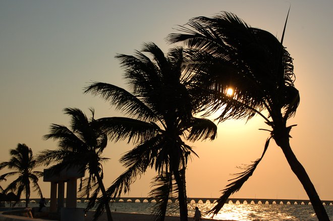 Progreso, México; Zylenia / Flickr