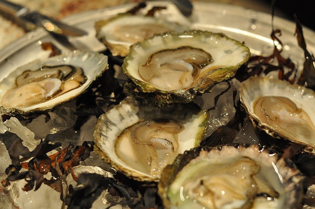 Oysters; Charlotta Wasteson/Flickr