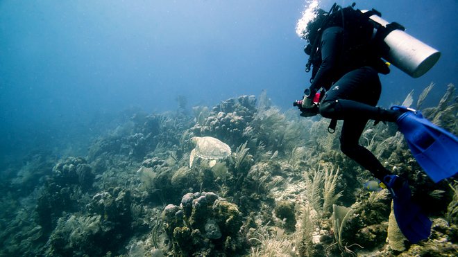 Buceo en arrecifes en México; Mal B / Flickr