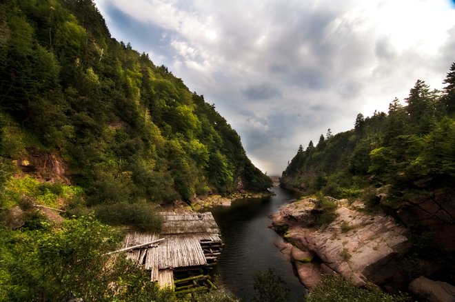 Gran río de salmones en el parque nacional fundy de Nueva