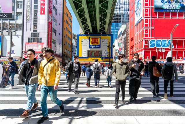 Les rues animées et les arcades à plusieurs étages sont la gloire d'Akihabara