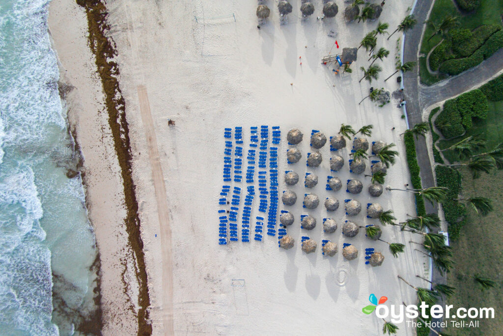 Praia no Hard Rock Hotel & Casino em Punta Cana / Oyster