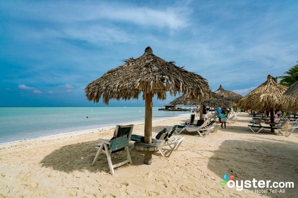 Plage au Barcelo Aruba / Huître