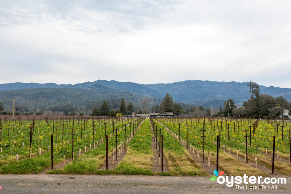 Vineyard View Spa en Harvest Inn, St. Helena