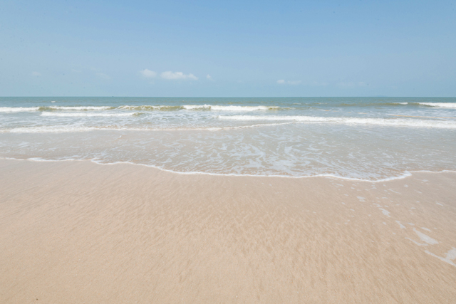 Strandbewohner Vorsicht: Der Ozean ist zwar schön, aber giftig.