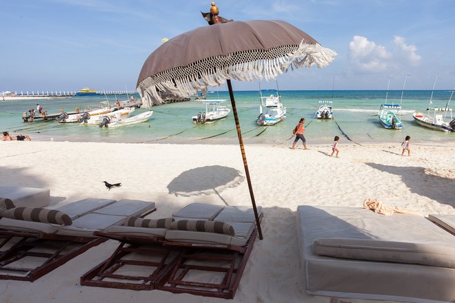 Beach Club Indigo im El Taj Oceanfront & Beachside Condos Hotel / Oyster