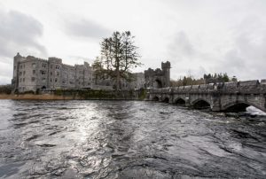 Grounds at the Ashford Castle/Oyster