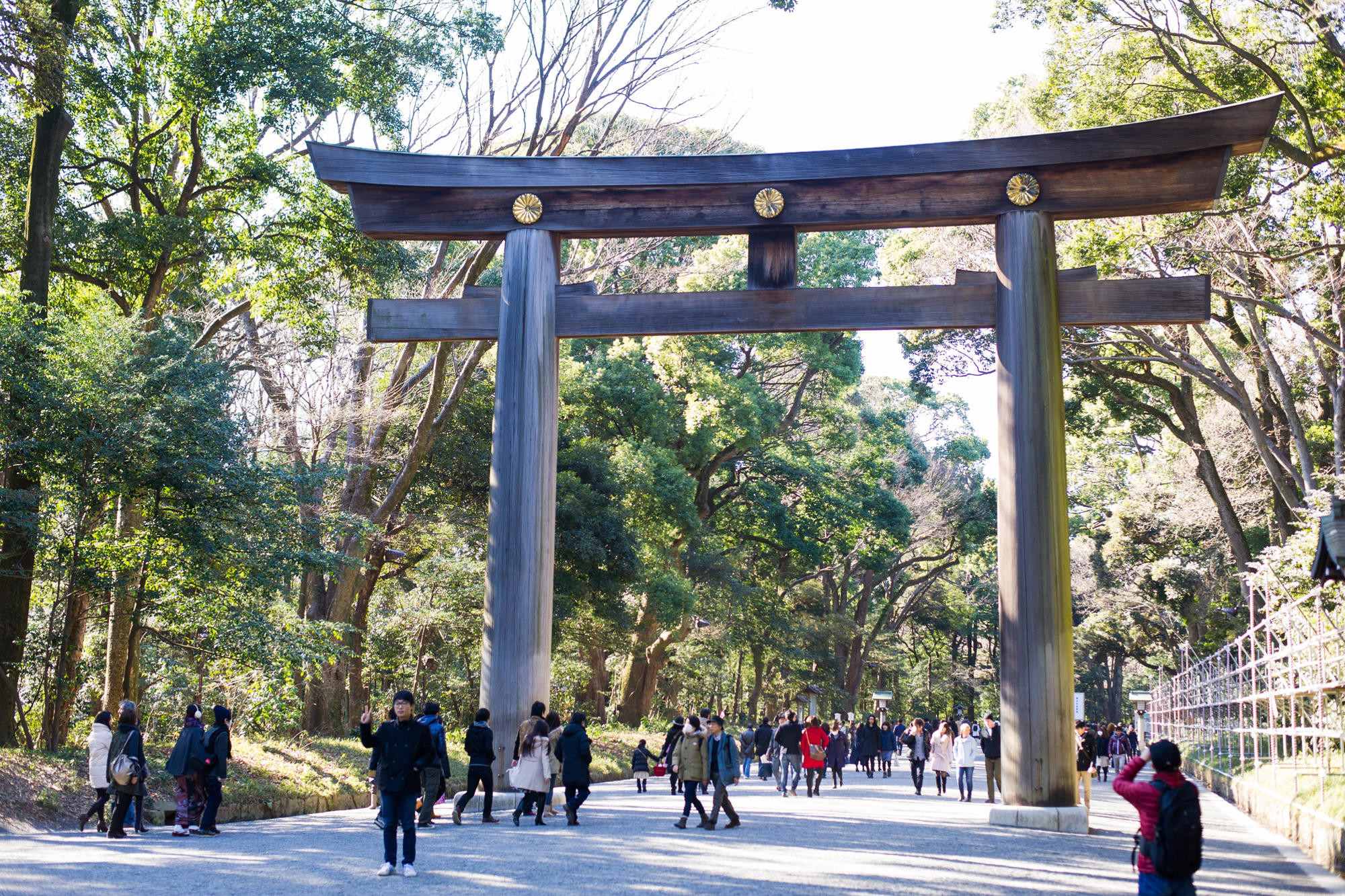 Tori gates that mark the entrance of the Meiji Shrine