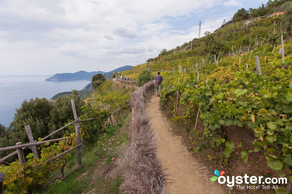 Ruta de senderismo en el Bed and Breakfast Il Vigneto / Oyster