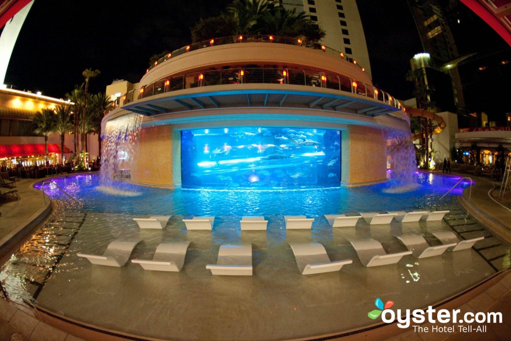 The Tank Pool al Golden Nugget Hotel & Casino