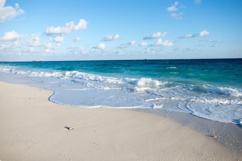 Beach at the Sivananda Ashram Yoga Retreat