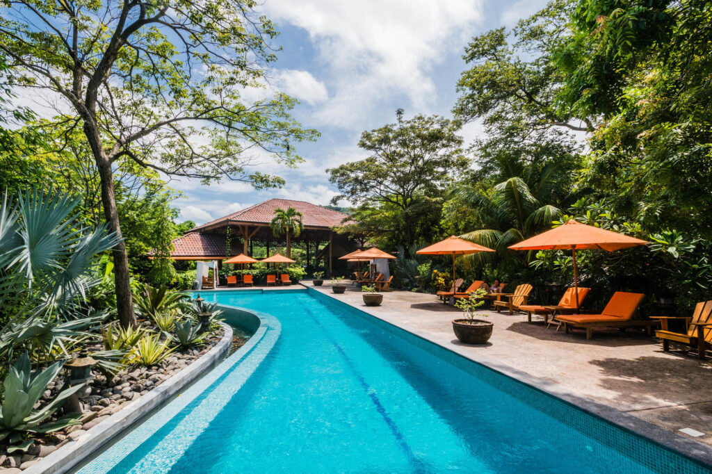 The Pool at The Bodhi Tree Yoga Resort