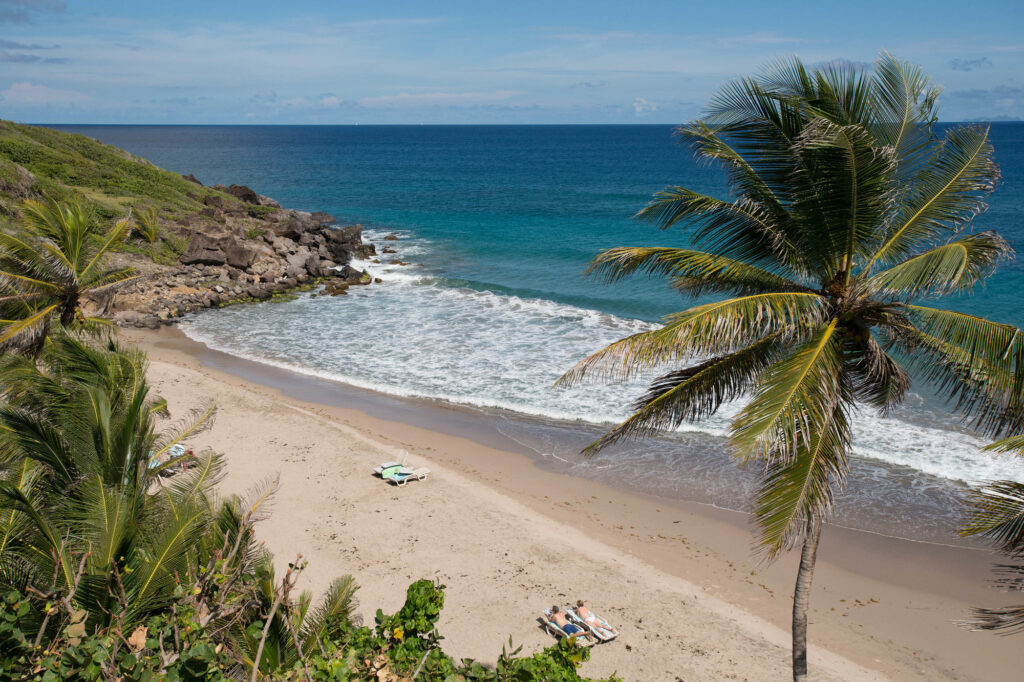Beach at the Petite Anse Hotel Grenada