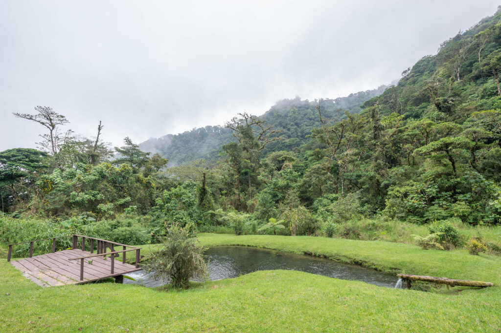 Grounds at the El Silencio Lodge & Spa