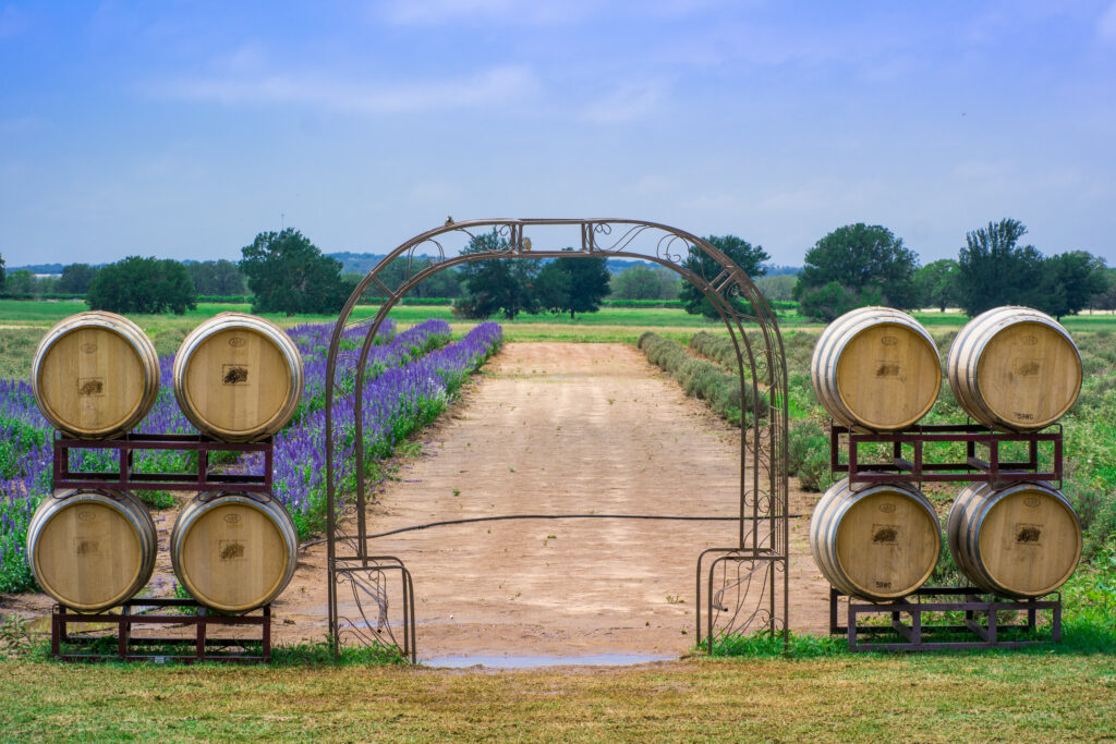 Becker Vineyard Lavender Field