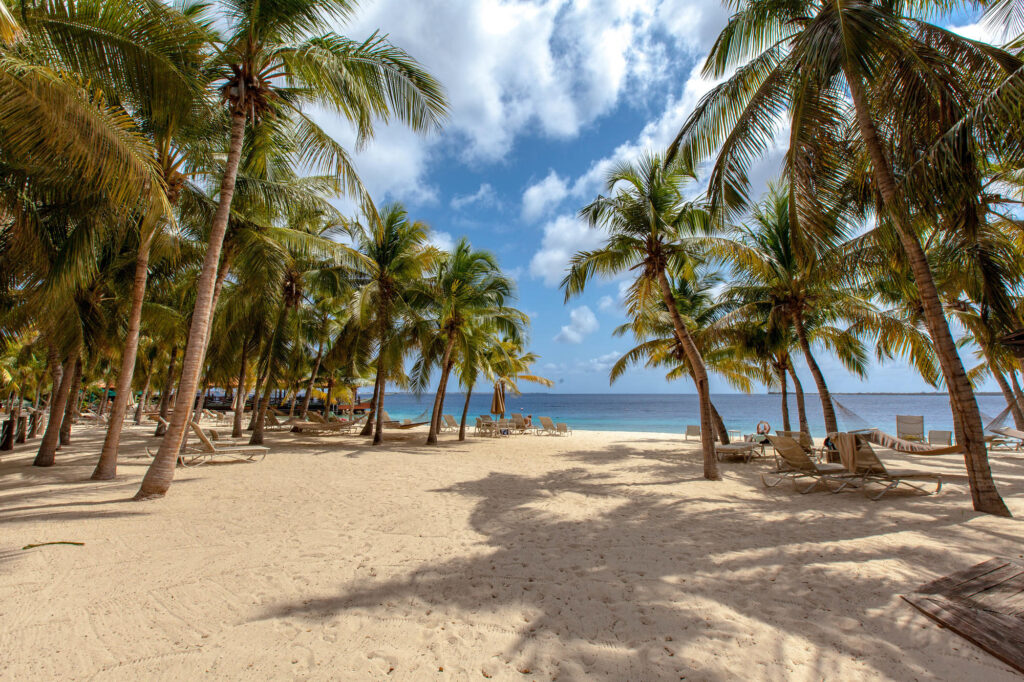 Beach at the Harbour Village Beach Club
