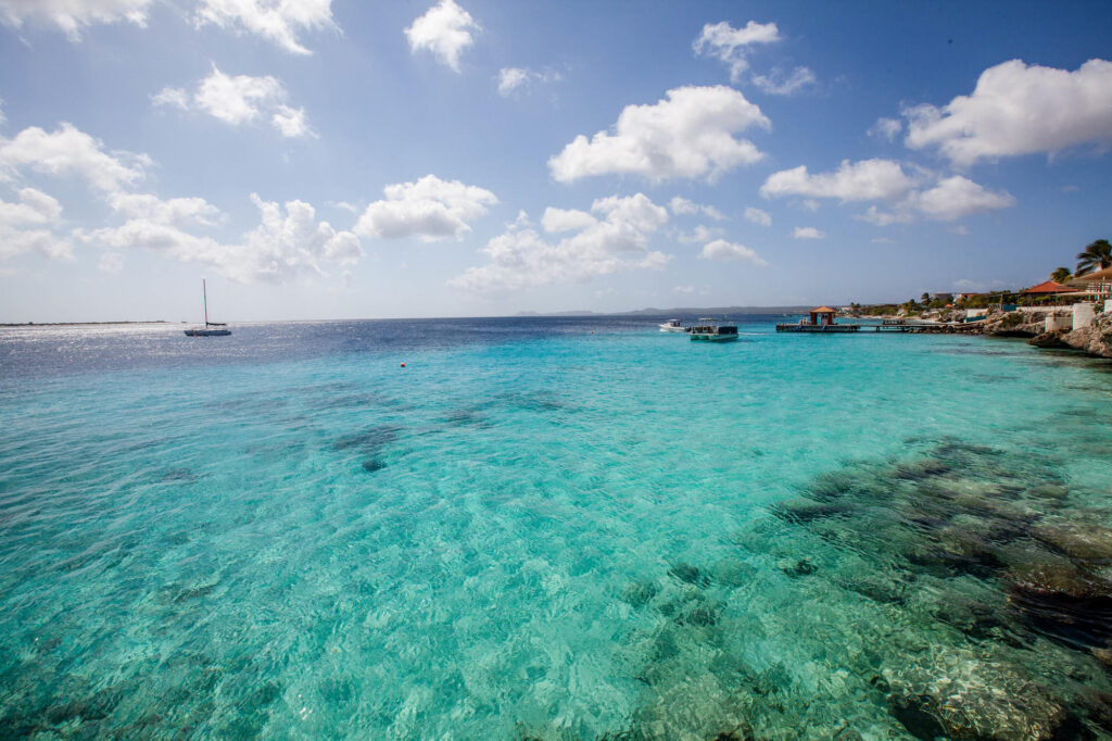 View from the Beach at the Buddy Dive
