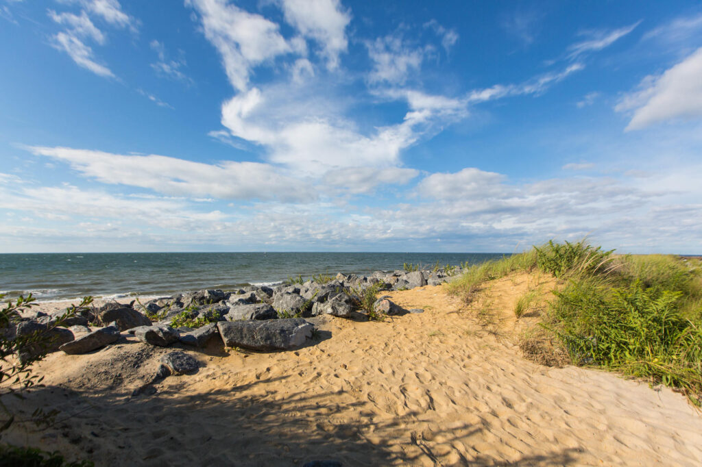 Beach at the Haven Montauk