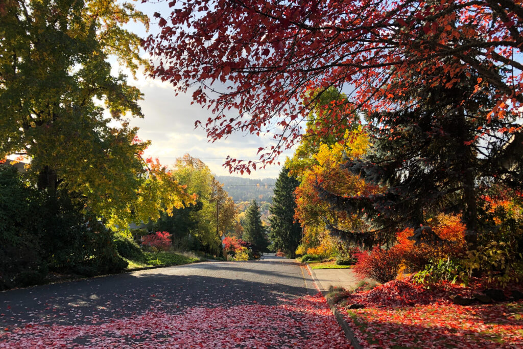 Eugene, OR, USA