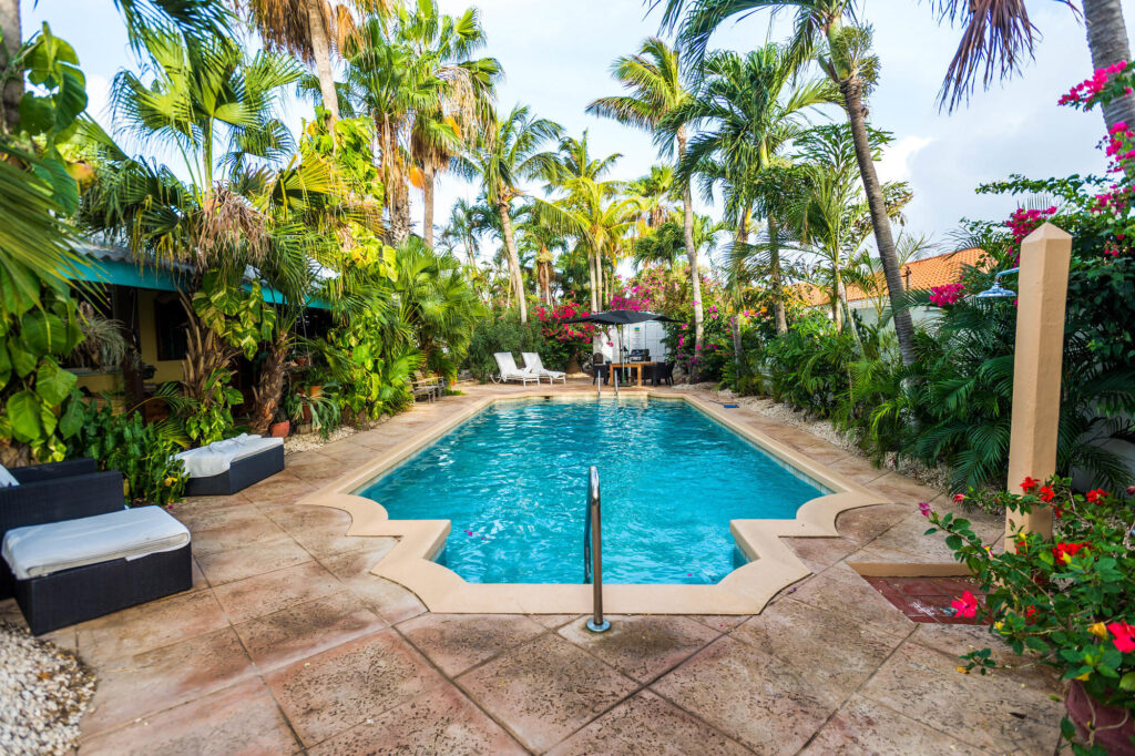 The Pool at the Paradera Park Aruba