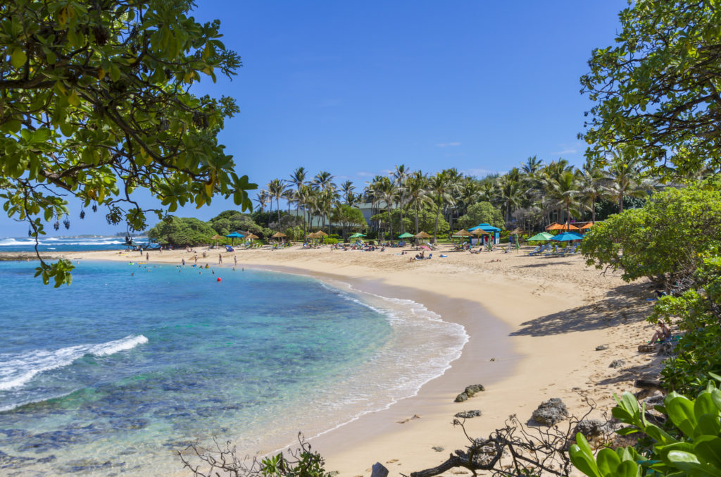 Beach resort at Turtle Bay