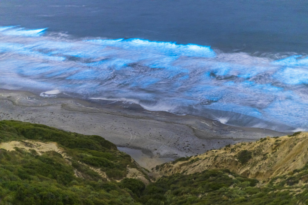 Bioluminescence on the shores of Black's Beach, San Diego County