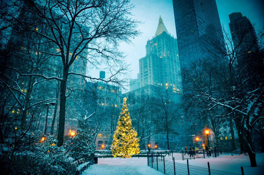 Christmas tree in central park during a snow storm