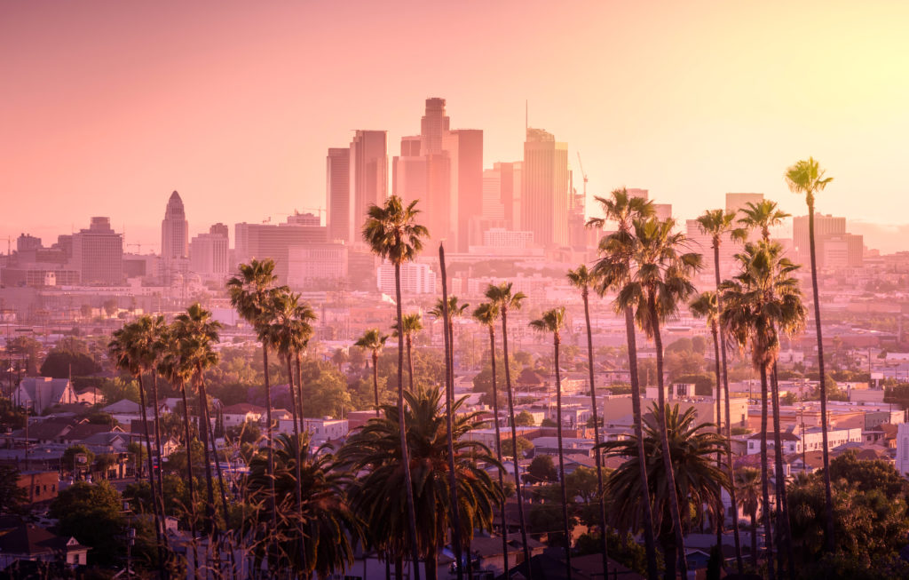 Silhouette of palm trees against the Los Angeles skyline