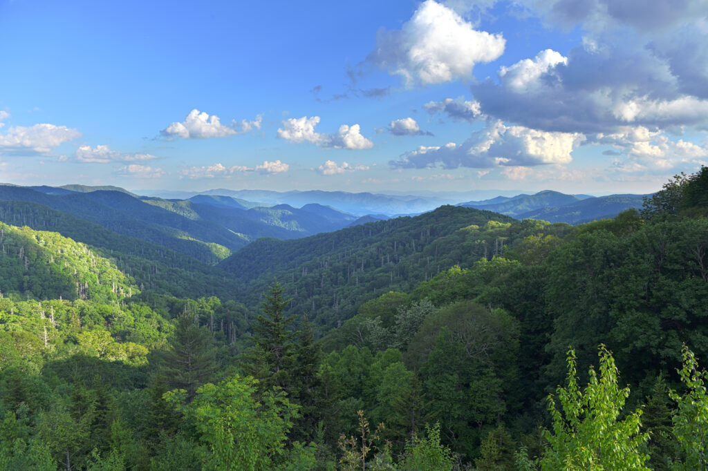 View of the Great Smokey Mountains, Tennessee