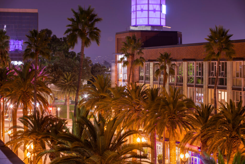 Building and palm trees in Anaheim, California at dusk