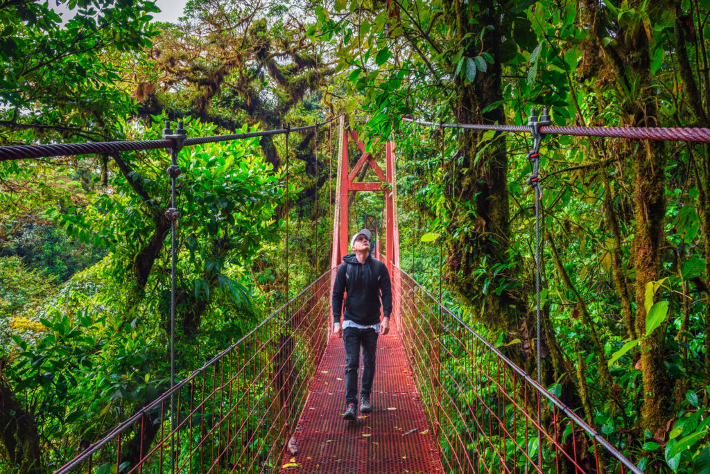 Person walking across a suspension bridge in the Monteverde Cloud Forest, Costa Rica