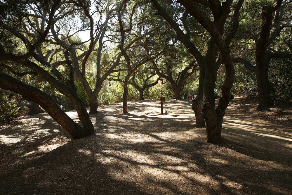 Hiking path in Oak Canyon Nature Center, Anaheim, California