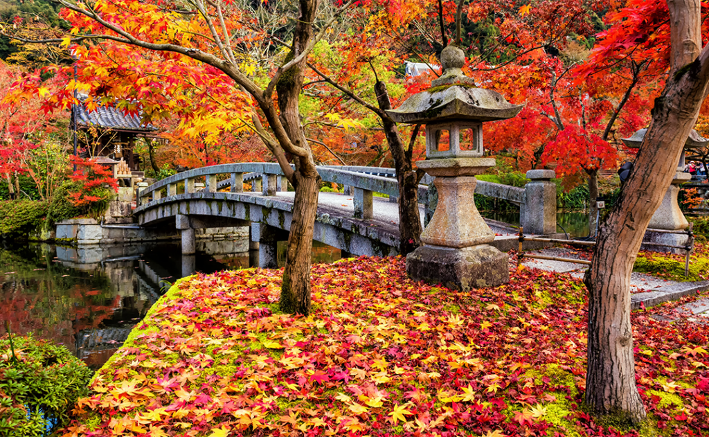 Eikando Zenrinji fall garden, Kyoto